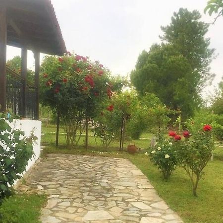 קריופיגי Katerina'S Holiday Home מראה חיצוני תמונה