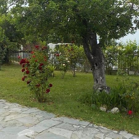 קריופיגי Katerina'S Holiday Home מראה חיצוני תמונה